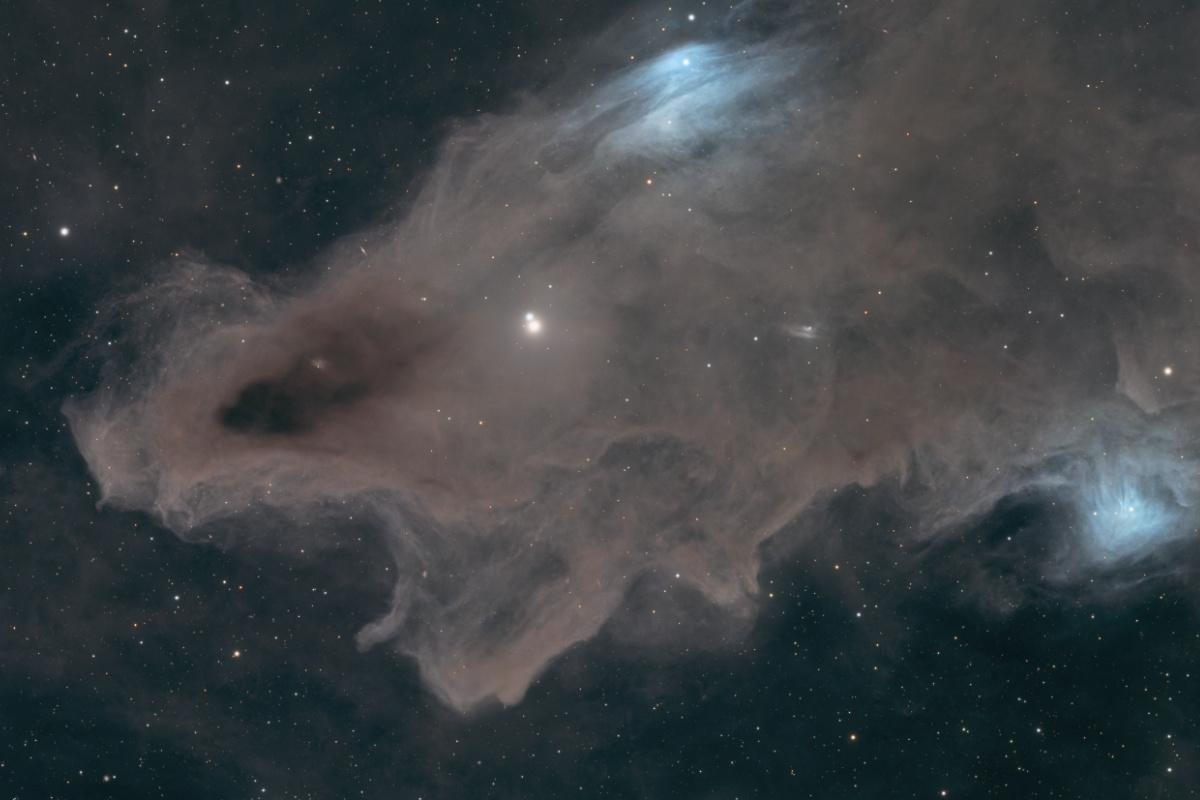 Close-up of the shark's head: a blunt brown snout on the left with a dark, eye-like knot, a bright star just behind it, and two patches of pale blue reflection nebulosity, one at the top of the frame and one at the lower right edge.