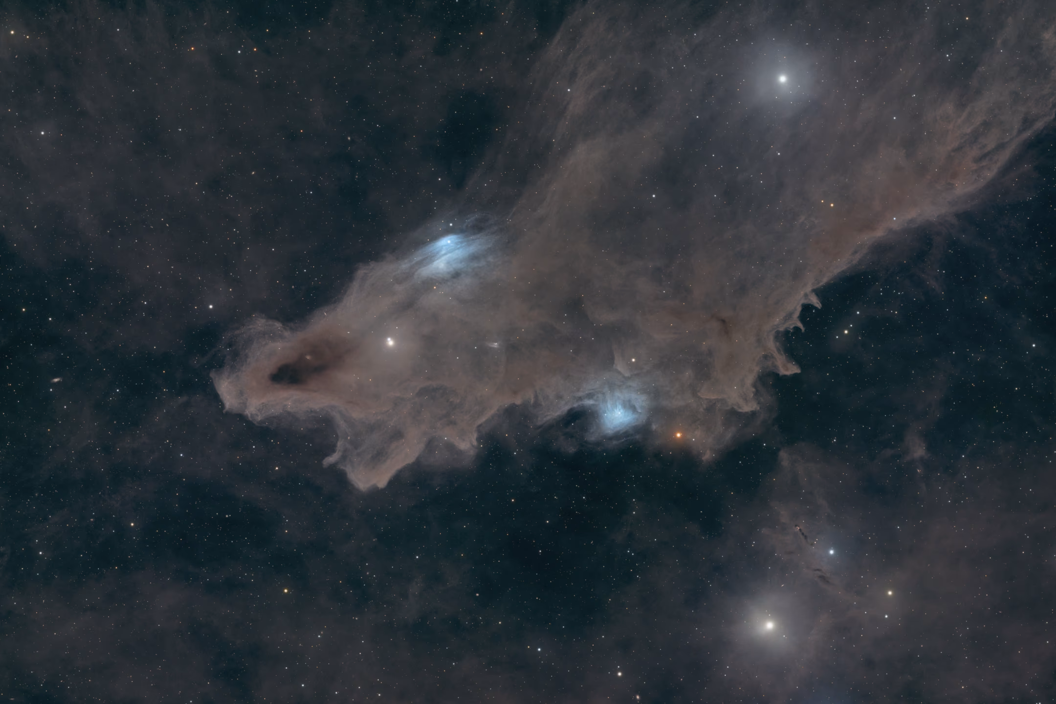 A long cloud of brown dust diving towards the lower left of the frame. Its blunt snout is marked by a dark, eye-like knot, and there are two patches of pale blue nebulosity along its upper and lower edges. The body widens up to the top right corner through a dense field of small stars, with a few bright, haloed ones.